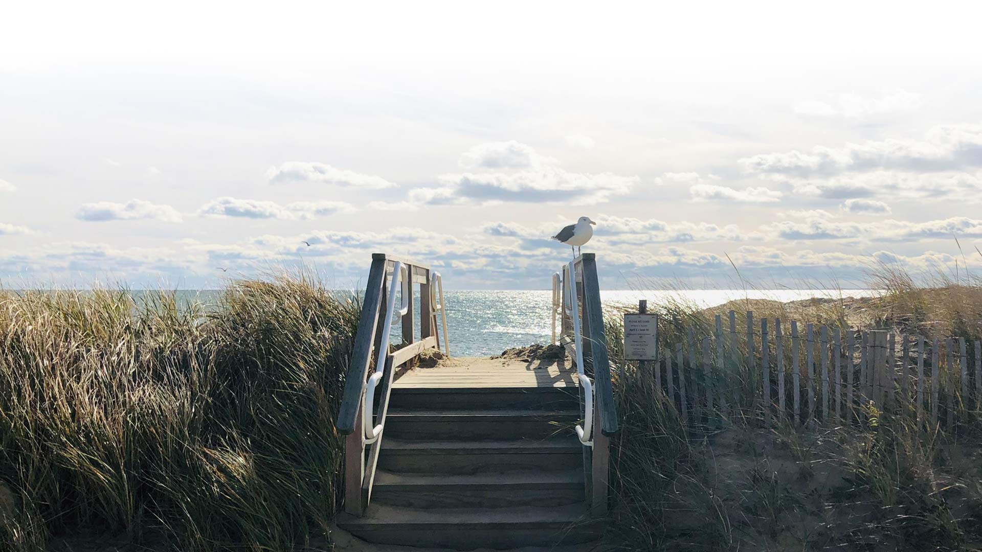 Beach stairs to the boardwalk with a seagull perched on the railing